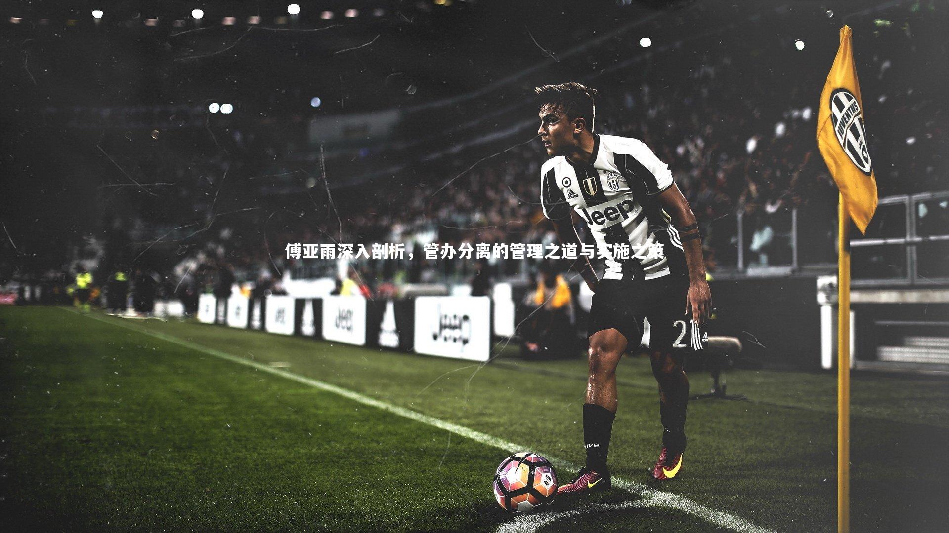 傅亚雨深入剖析,管办分离的管理之道与实施之策