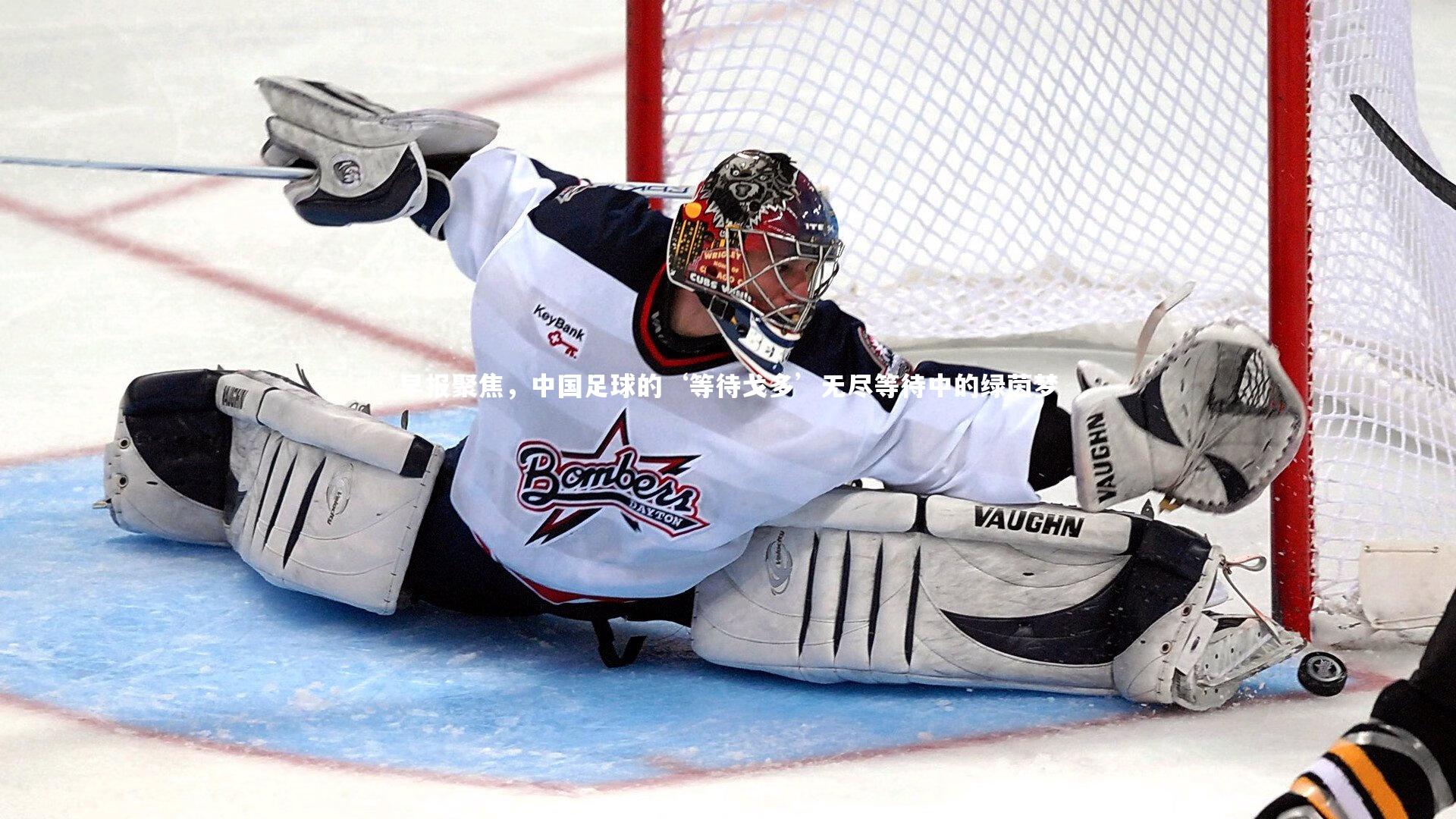 早报聚焦,中国足球的‘等待戈多’无尽等待中的绿茵梦